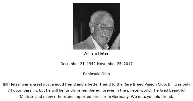 Bill Hetzel